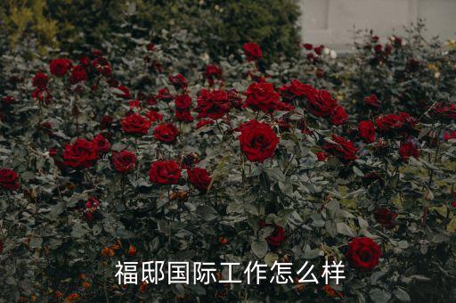 福邸国际工作怎么样