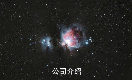 公司介绍