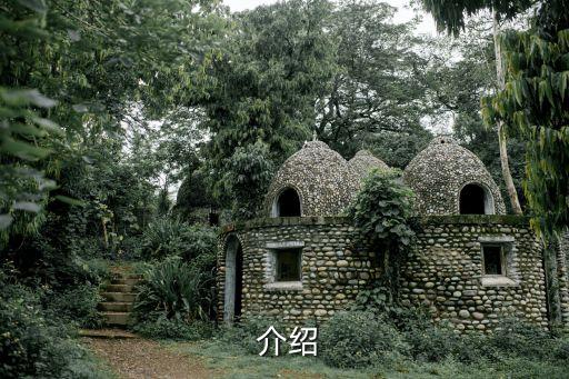 介绍
