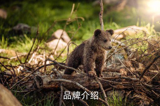 品牌介绍