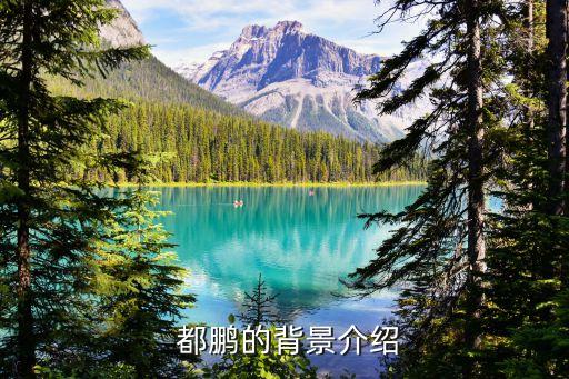 都鹏的背景介绍