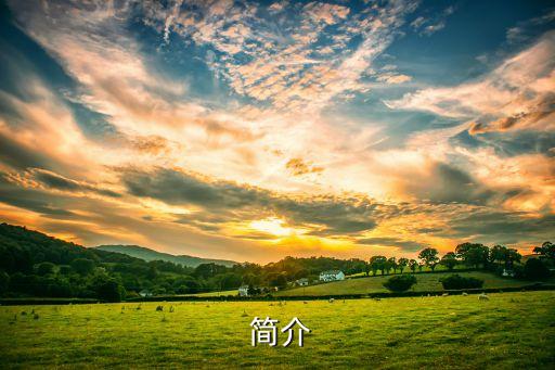 简介