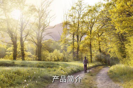 产品简介