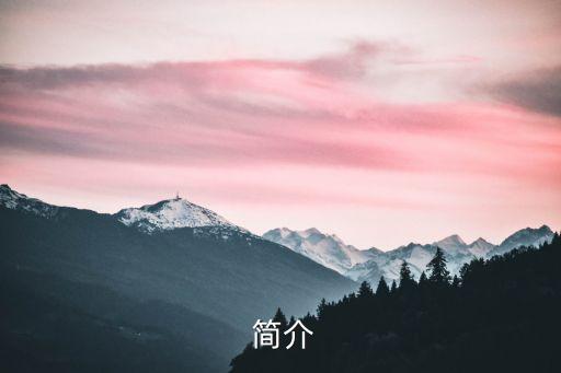 简介