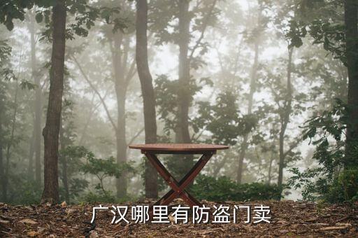 广汉哪里有防盗门卖