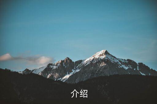 介绍
