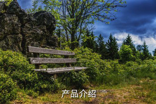 产品介绍