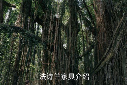 法诗兰家具介绍