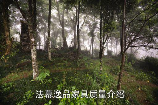 法幕逸品家具质量介绍