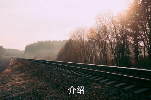 介绍