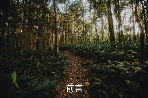 前言