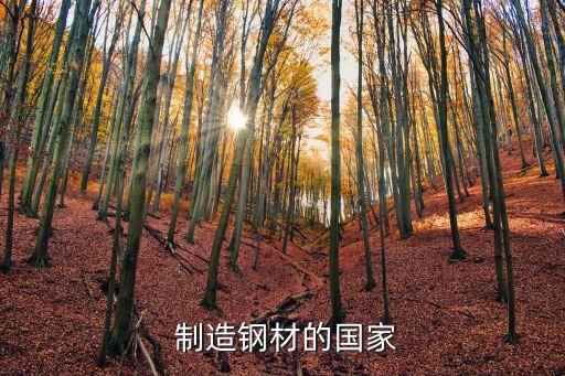 制造钢材的国家