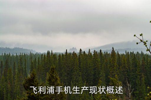 飞利浦手机生产现状概述