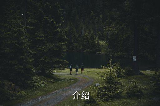 介绍