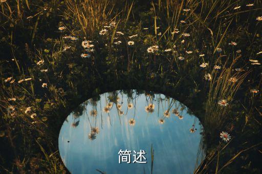 简述
