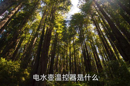 电水壶温控器是什么