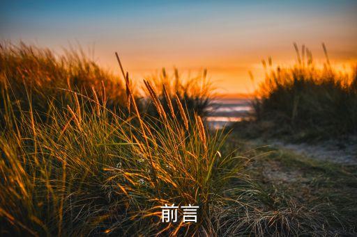 前言