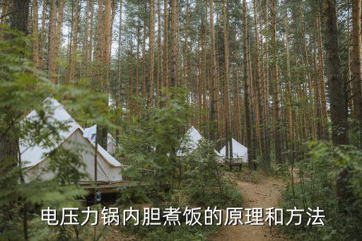 电压力锅内胆煮饭的原理和方法