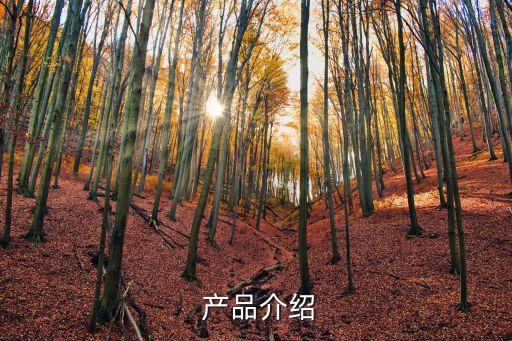 产品介绍