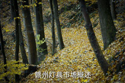 赣州灯具市场概述