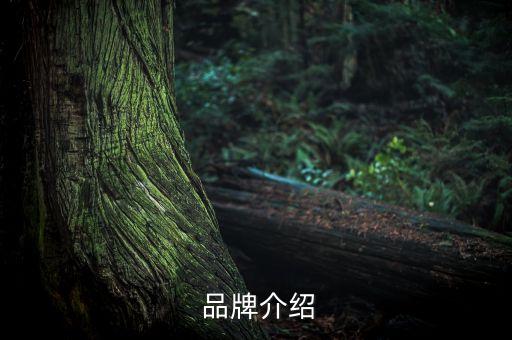 品牌介绍