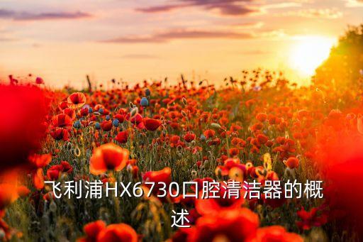 飞利浦HX6730口腔清洁器的概述