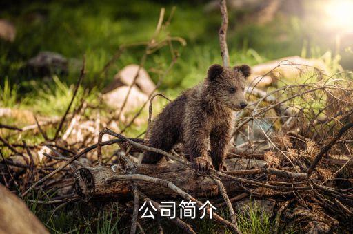公司简介