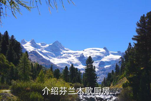 介绍芬兰木歌厨房