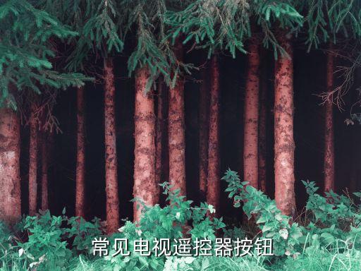 常见电视遥控器按钮