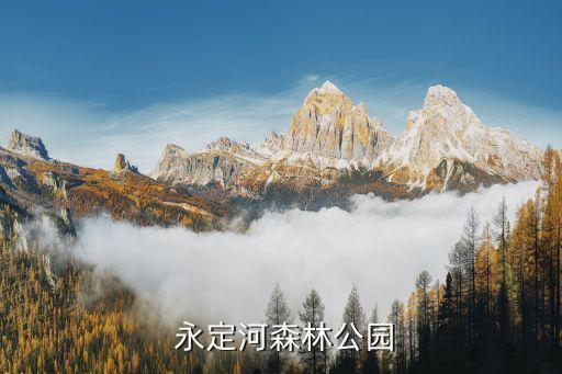 永定河森林公园