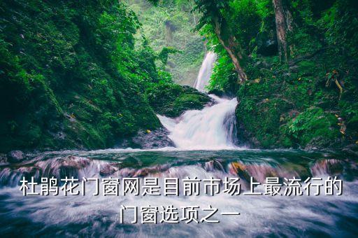 杜鹃花门窗网是目前市场上最流行的门窗选项之一