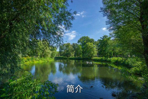 简介
