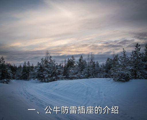 一、公牛防雷插座的介绍
