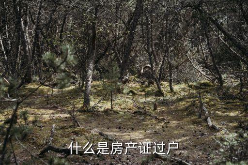 什么是房产证过户
