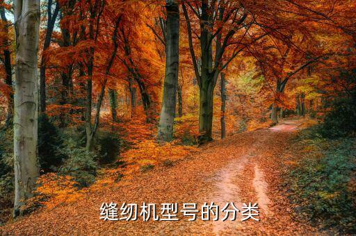 缝纫机型号的分类