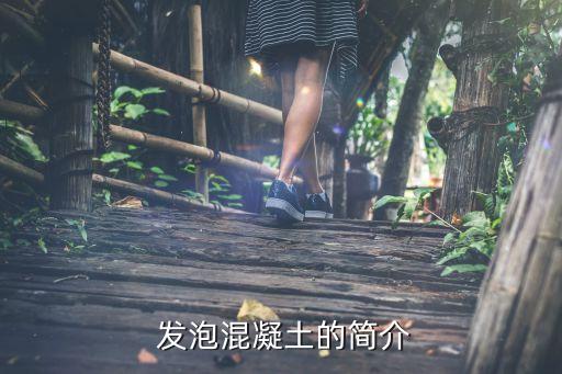 发泡混凝土的简介