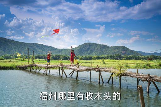 福州哪里有收木头的