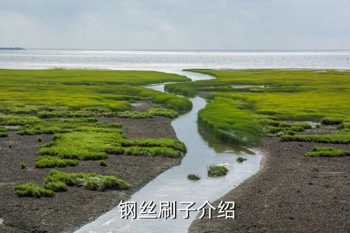 钢丝刷子介绍