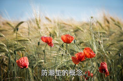 防潮垫的概念
