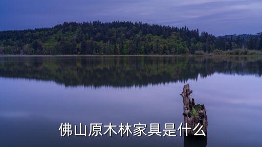 佛山原木林家具是什么