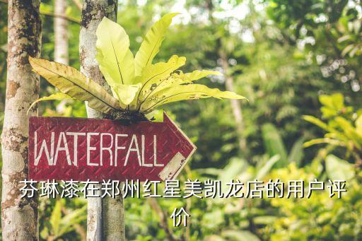 芬琳漆在郑州红星美凯龙店的用户评价