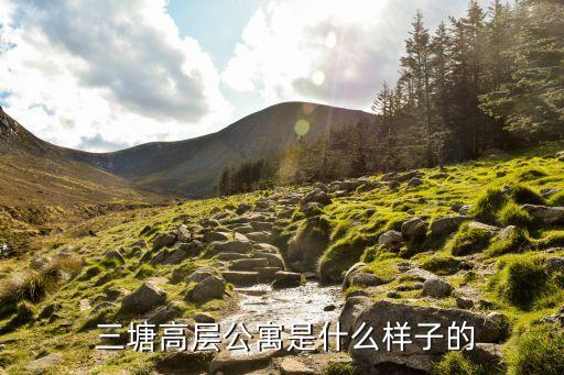 三塘高层公寓是什么样子的