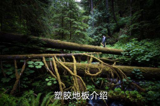 塑胶地板介绍