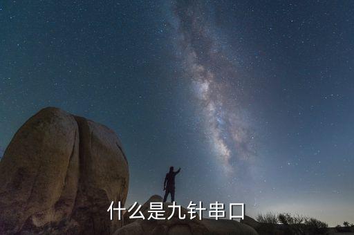 什么是九针串口