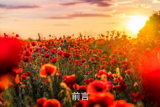 前言