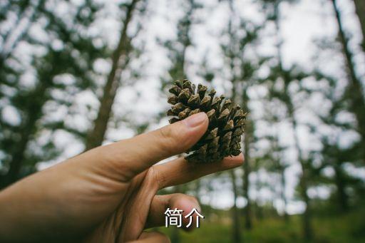 简介