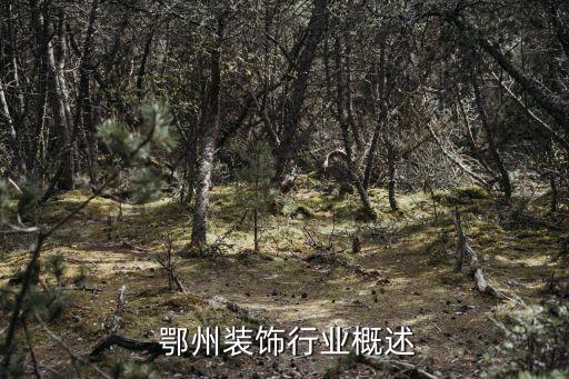 鄂州装饰行业概述