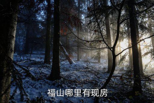 福山哪里有现房