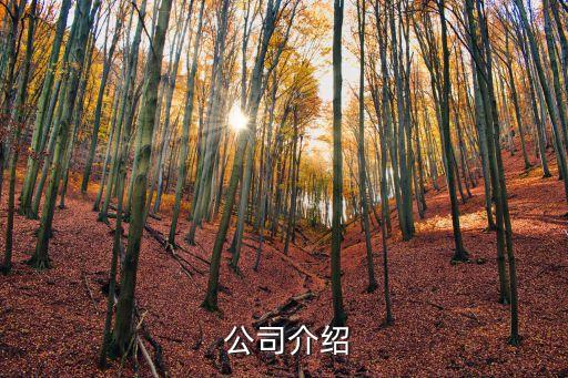 公司介绍
