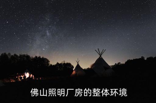 佛山照明厂房的整体环境
